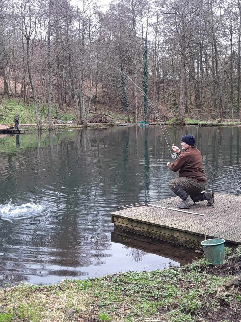 Sandford Pool Trout Fishery