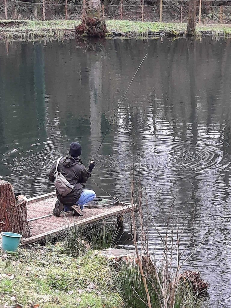 Sandford Pool Trout Fishery