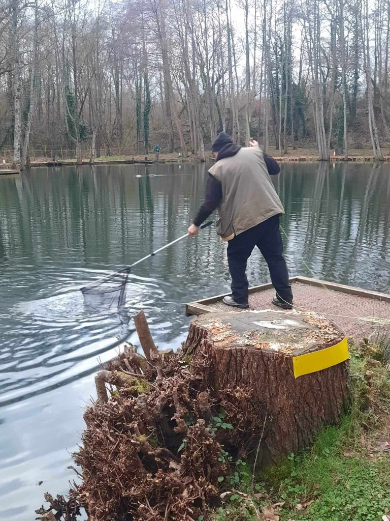 Sandford Pool Trout Fishery