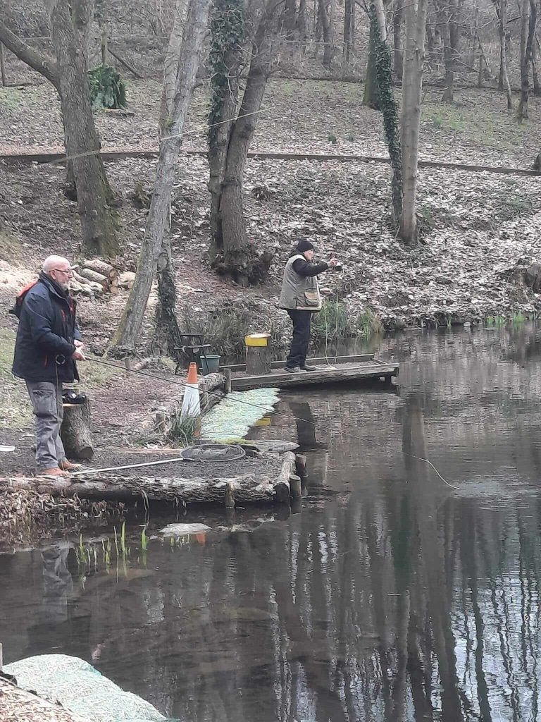 Sandford Pool Trout Fishery