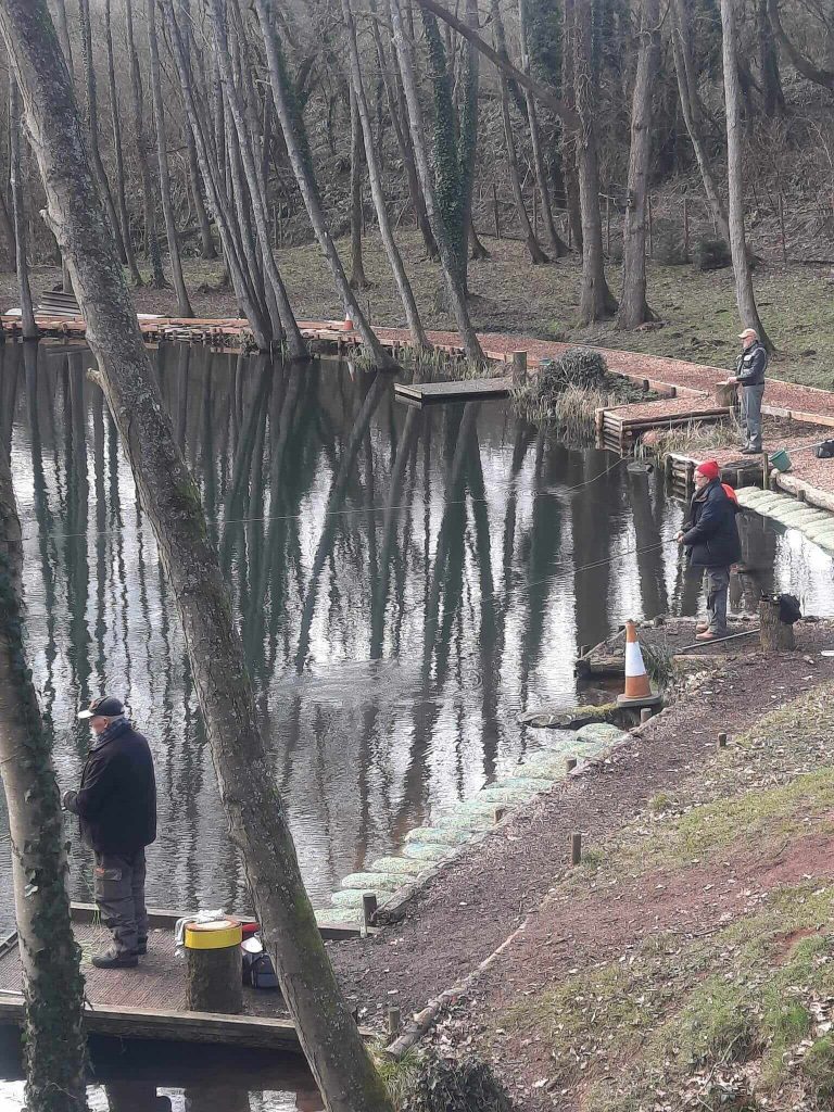 Sandford Pool Trout Fishery