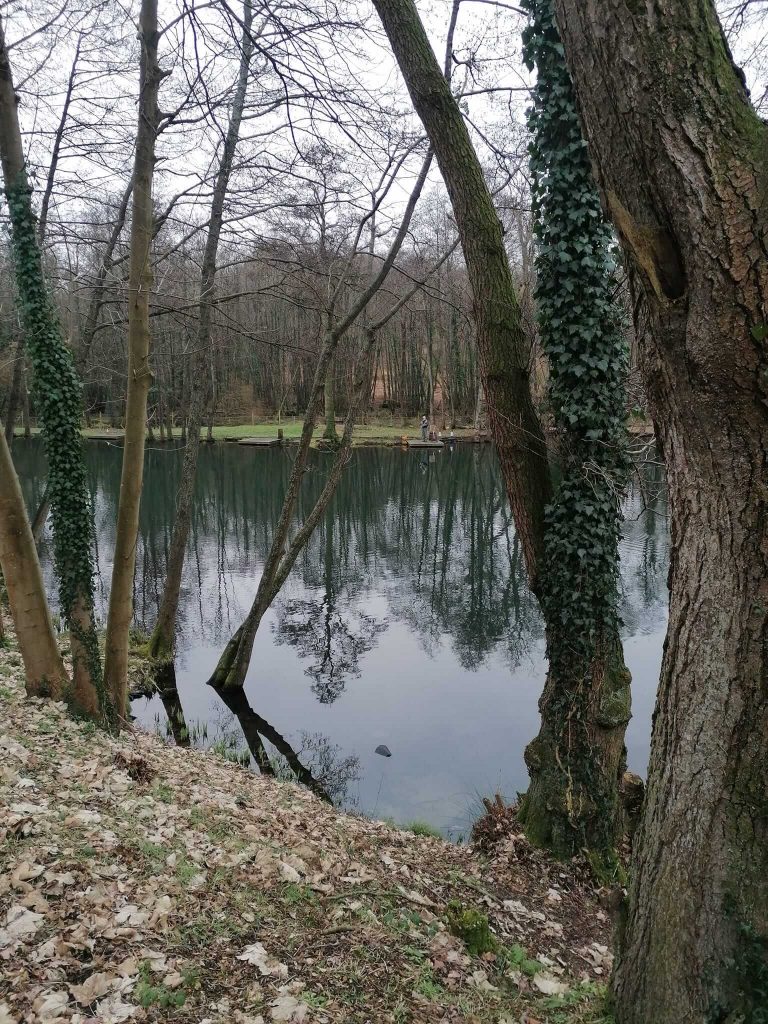 Sandford Pool Trout Fishery