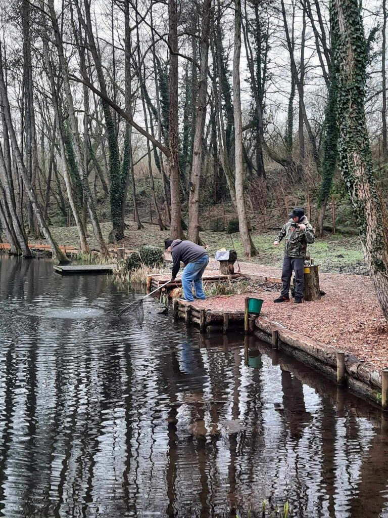 Sandford Pool Trout Fishery