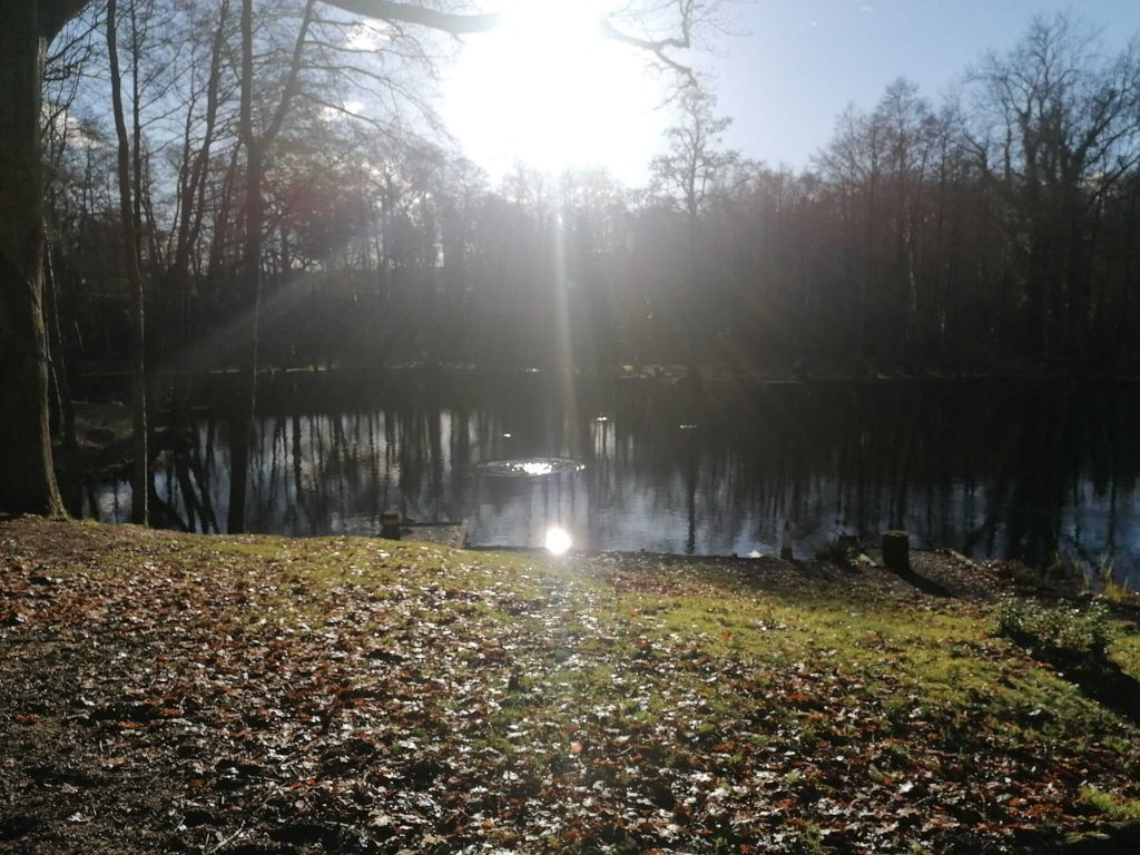 Sandford Pool Trout Fishery