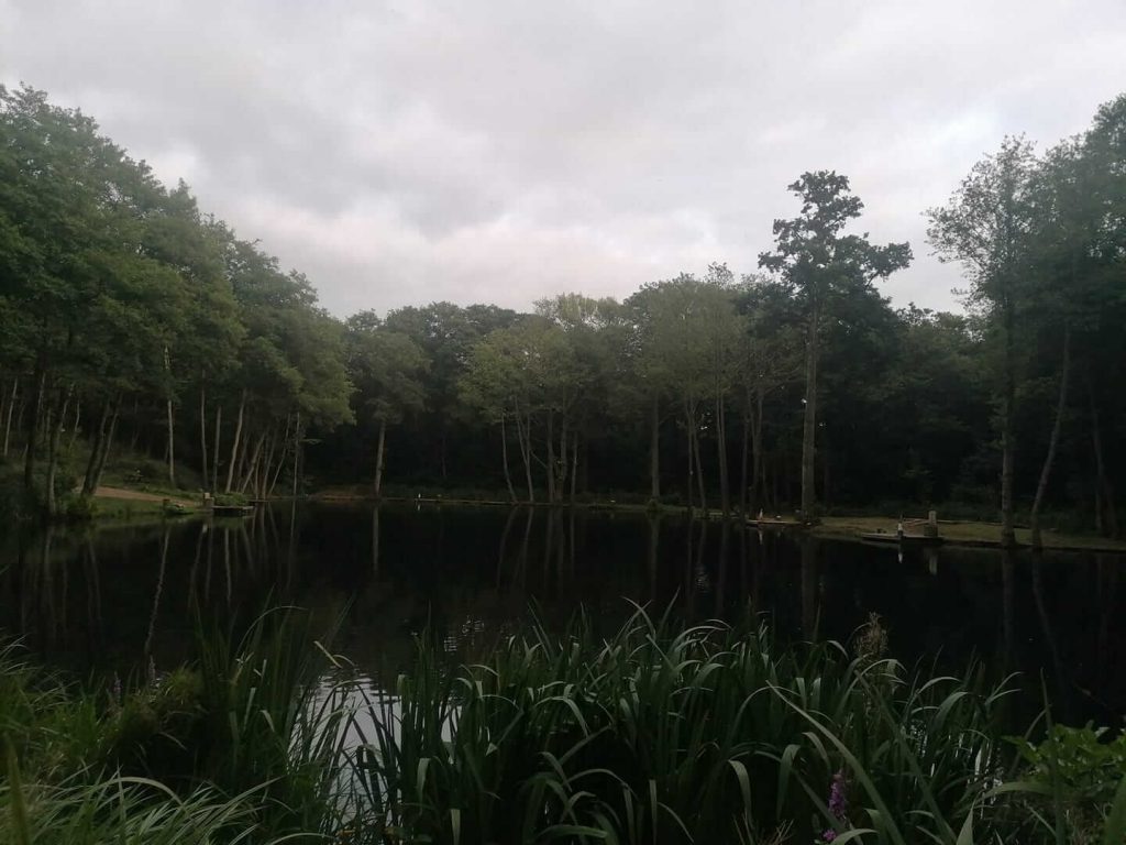 Sandford Pool Trout Fishery